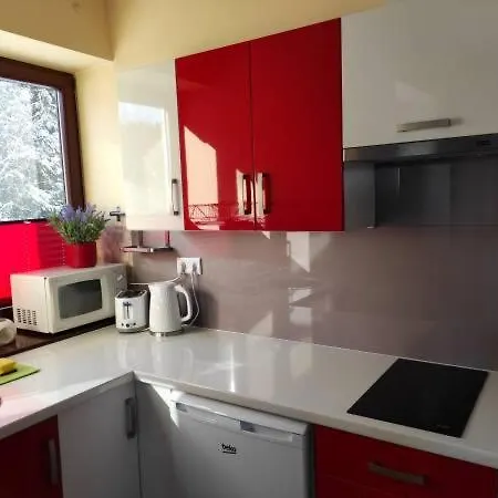 Apartamenty Olenka Zakopane Exterior photo