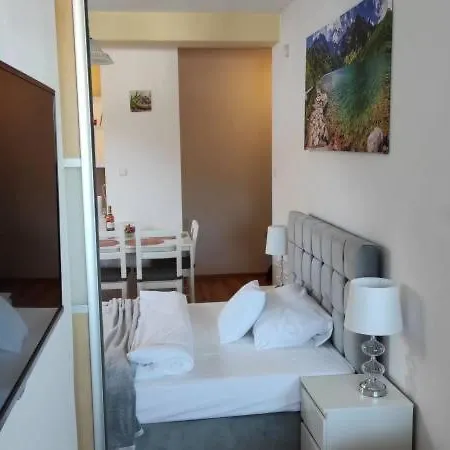 Apartamenty Olenka Zakopane Exterior photo