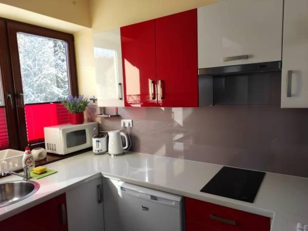 Apartment Olenka Zakopane